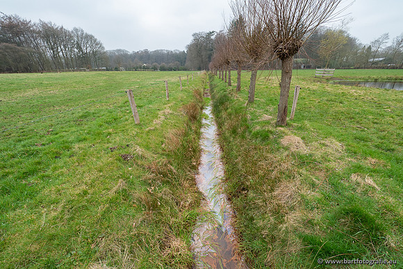 De Hegge bovenloop, 230321-010