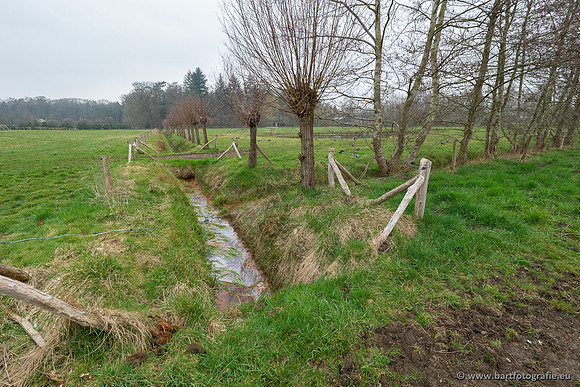 De Hegge bovenloop, 230321-012