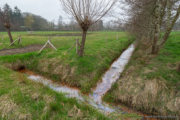 De Hegge bovenloop, 230321-013