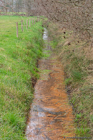 De Hegge bovenloop, 230321-015