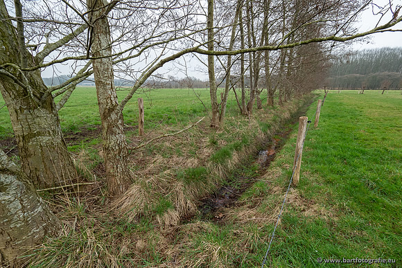 De Hegge bovenloop, 230321-016