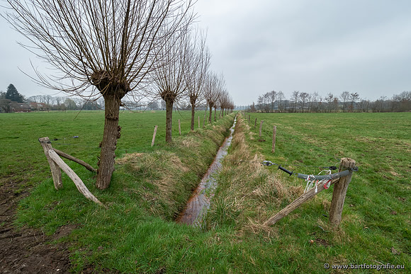 De Hegge bovenloop, 230321-017