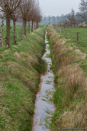 De Hegge bovenloop, 230321-018