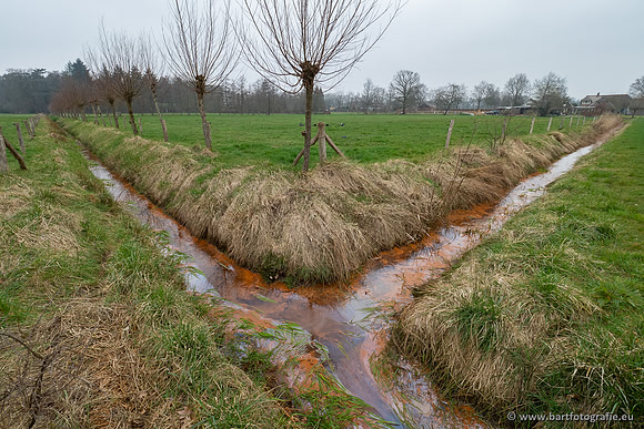 De Hegge bovenloop, 230321-019