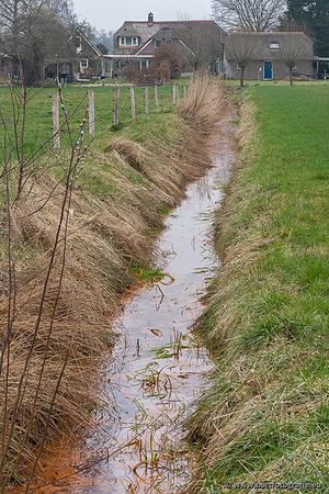De Hegge bovenloop, 230321-021
