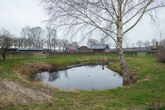 De Hegge bovenloop, 230321-023