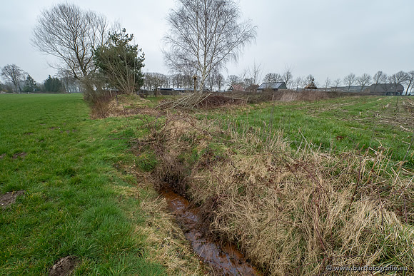 De Hegge bovenloop, 230321-024