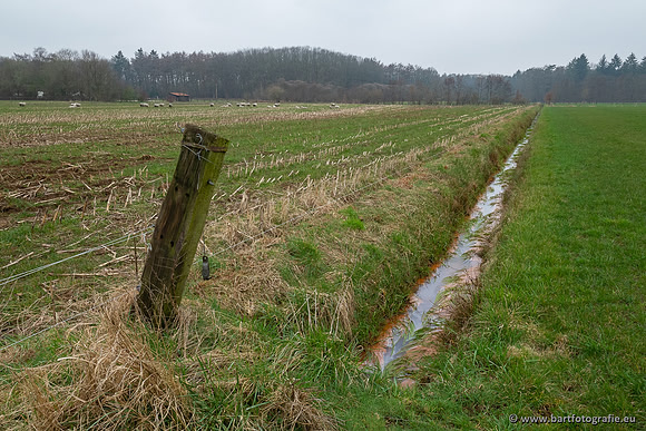 De Hegge bovenloop, 230321-025