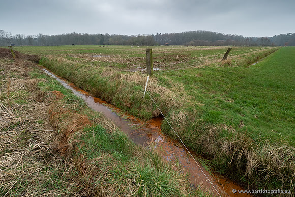 De Hegge bovenloop, 230321-026