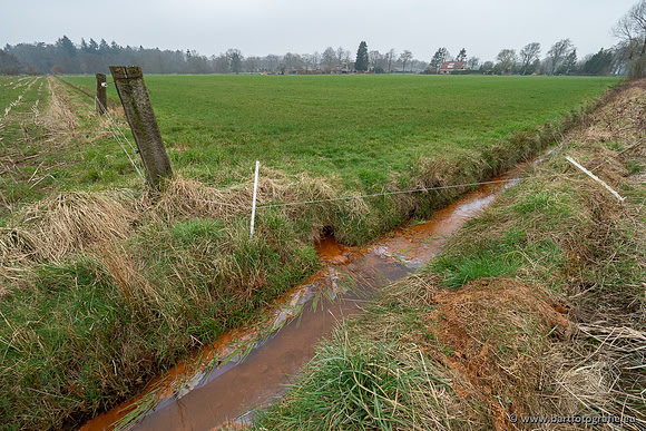 De Hegge bovenloop, 230321-027