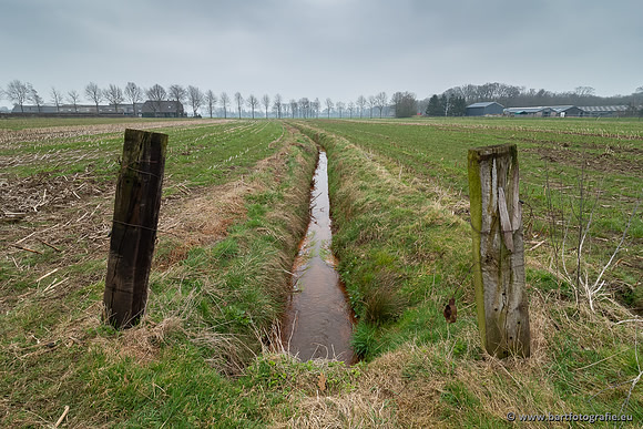 De Hegge bovenloop, 230321-029