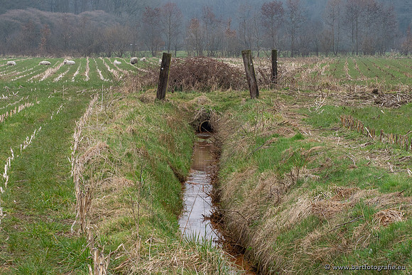 De Hegge bovenloop, 230321-030