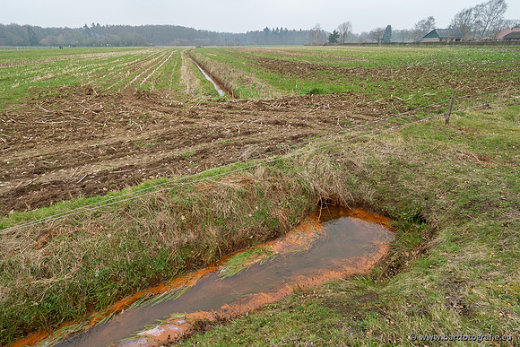 De Hegge bovenloop, 230321-032