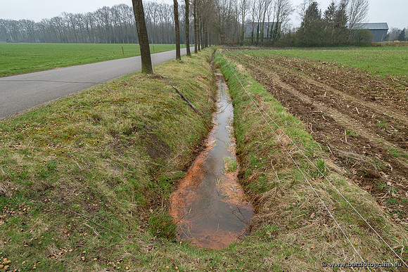 De Hegge bovenloop, 230321-033