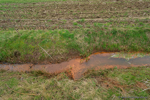 De Hegge bovenloop, 230321-034
