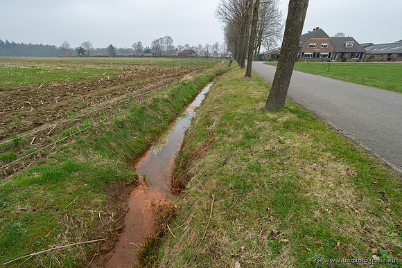 De Hegge bovenloop, 230321-035