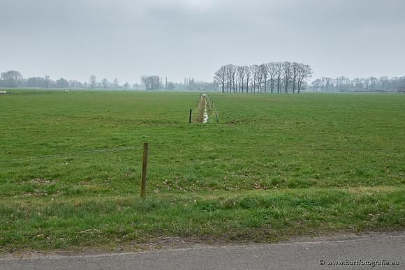 De Hegge bovenloop, 230321-036