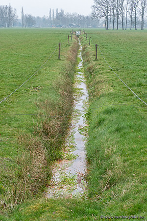 De Hegge bovenloop, 230321-037