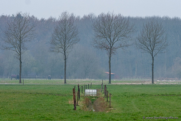 De Hegge bovenloop, 230321-038