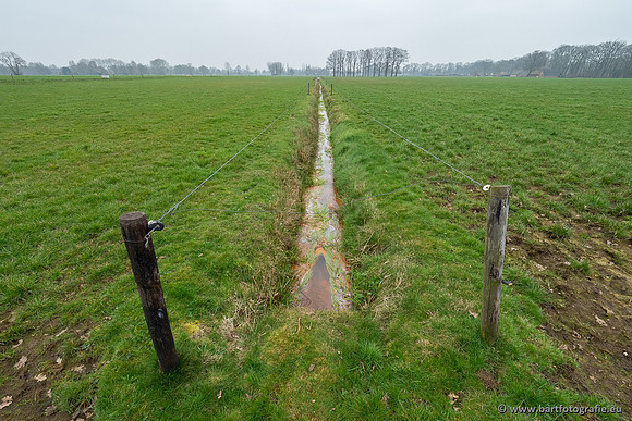 De Hegge bovenloop, 230321-039