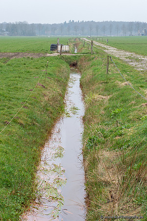De Hegge bovenloop, 230321-042