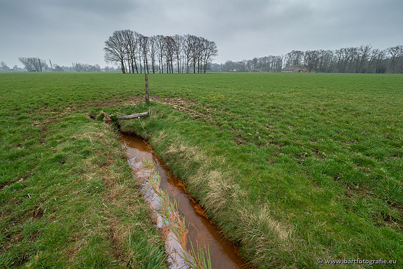 De Hegge bovenloop, 230321-045