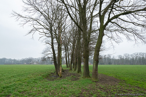 De Hegge bovenloop, 230321-047