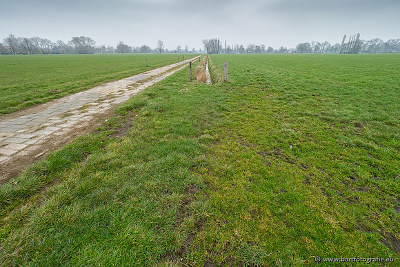 De Hegge bovenloop, 230321-049