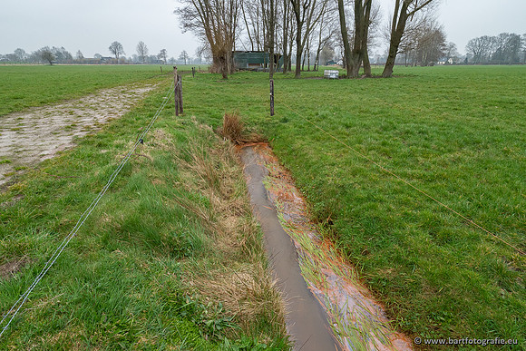 De Hegge bovenloop, 230321-052