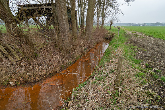 De Hegge bovenloop, 230321-055