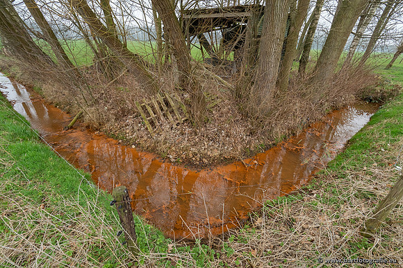 De Hegge bovenloop, 230321-056