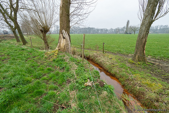 De Hegge bovenloop, 230321-058