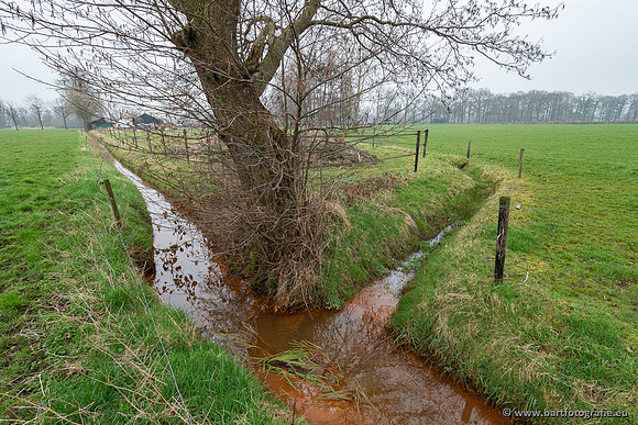 De Hegge bovenloop, 230321-059