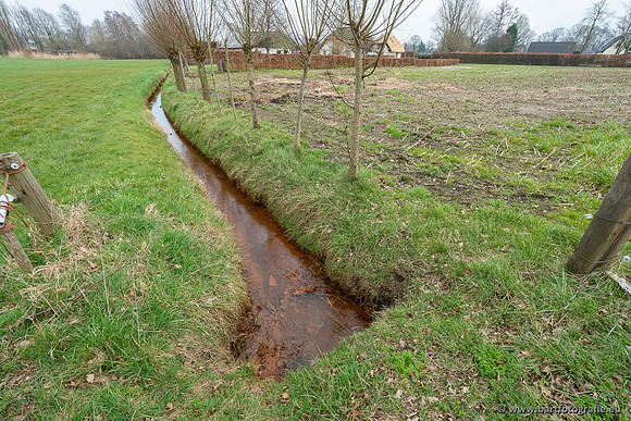 De Hegge bovenloop, 230321-067