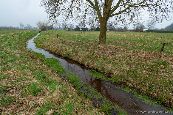 Nijmolense beek benedenloop, 230321-002