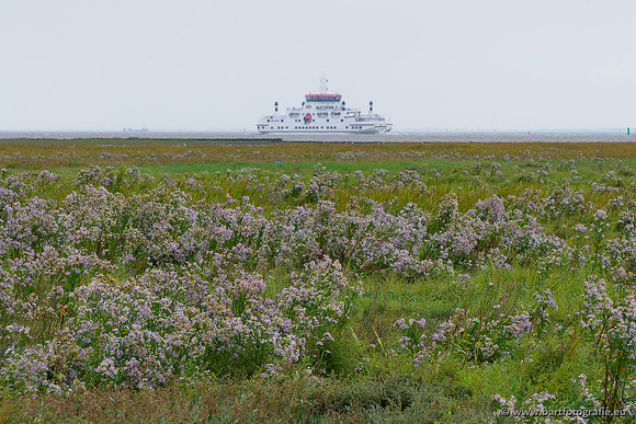 Friesland september 2020 Bart Fotografie-070