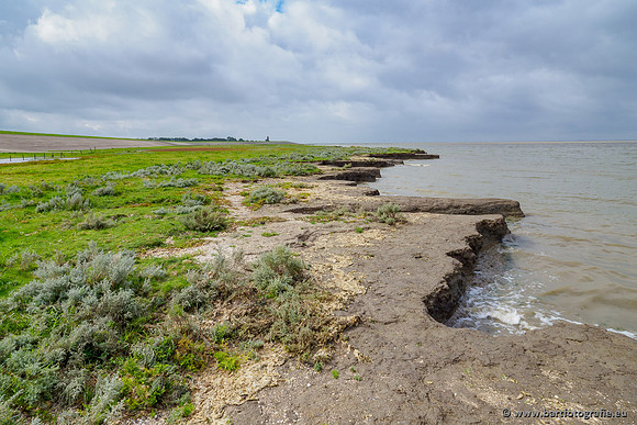 Friesland september 2020 Bart Fotografie-017