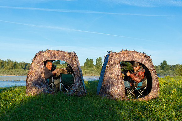 Bijeneters 2017 10