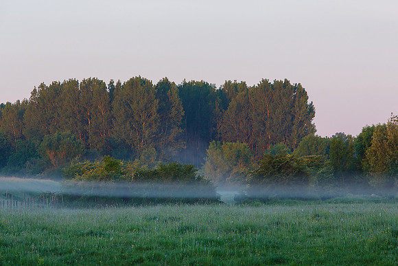 Bijeneters 2017 33