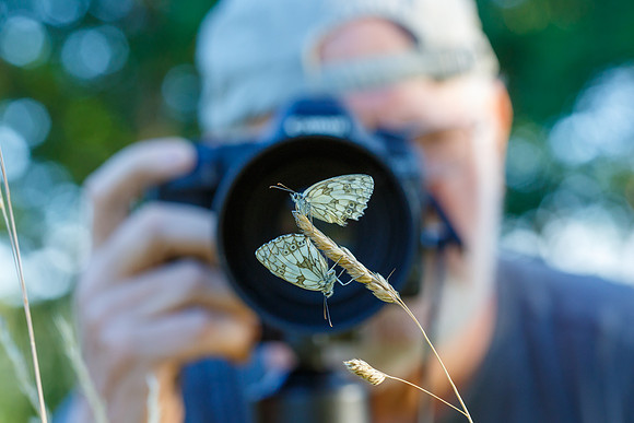 Viroinval Birding Breaks 2017-38