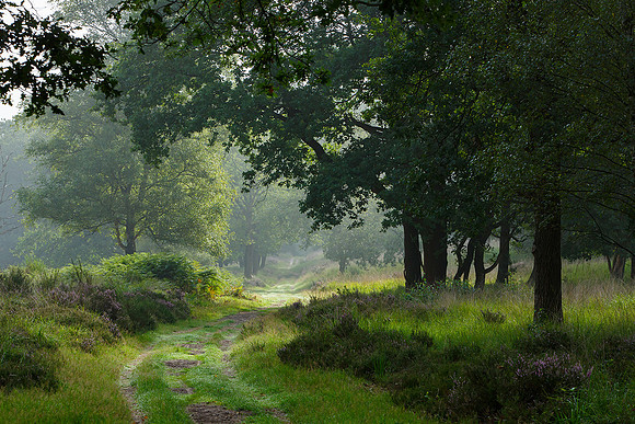 Limburg augustus 2017-85