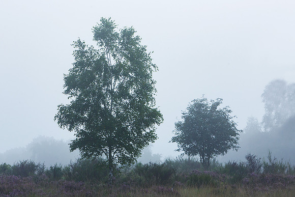 Limburg augustus 2017-86