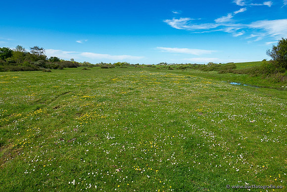 Zeeland, mei 2021-04