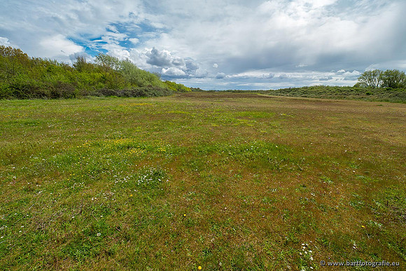 Zeeland, mei 2021-03