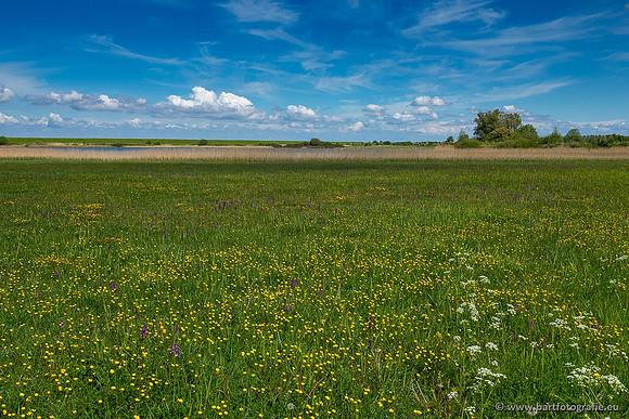 Zeeland, mei 2021-09