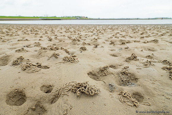 Zeeland, mei 2021-19