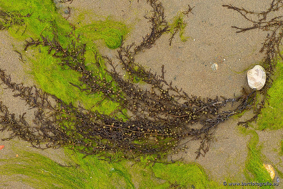Zeeland, mei 2021-23
