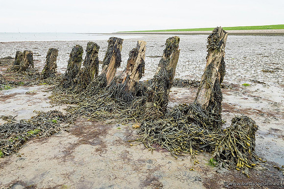 Zeeland, mei 2021-54