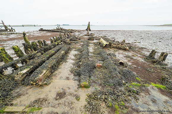 Zeeland, mei 2021-55