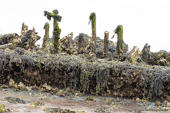 Zeeland, mei 2021-56